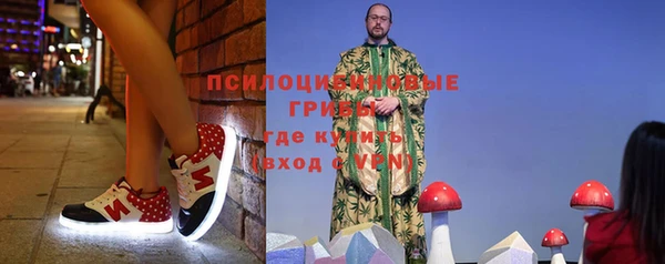 стафф Коряжма