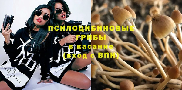 первитин Костерёво