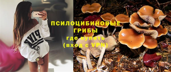 марки nbome Корсаков