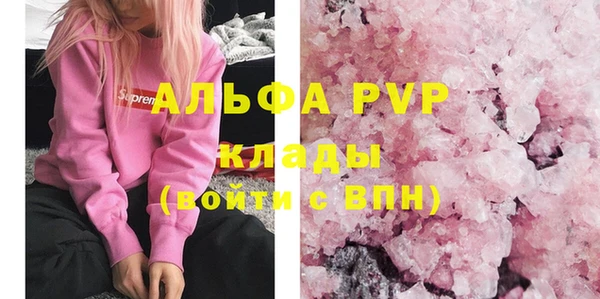 стафф Коряжма