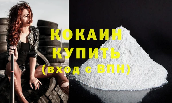 стафф Коряжма