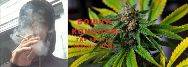 стафф Коряжма